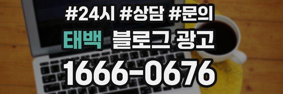 태백 브랜드 블로그