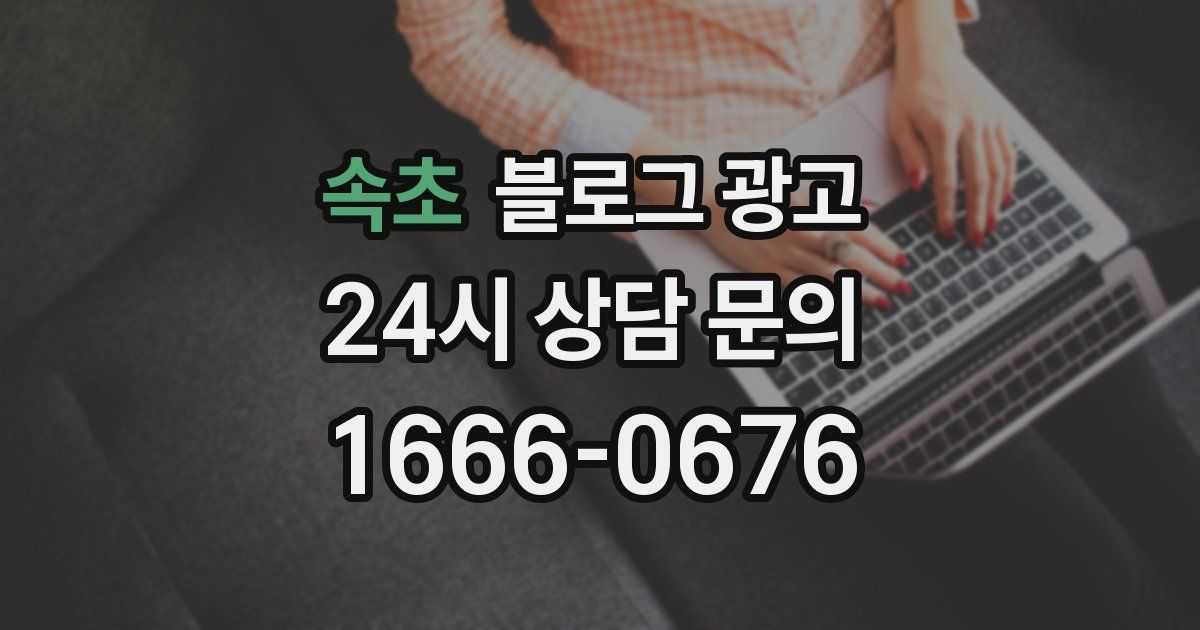 속초 블로그 광고