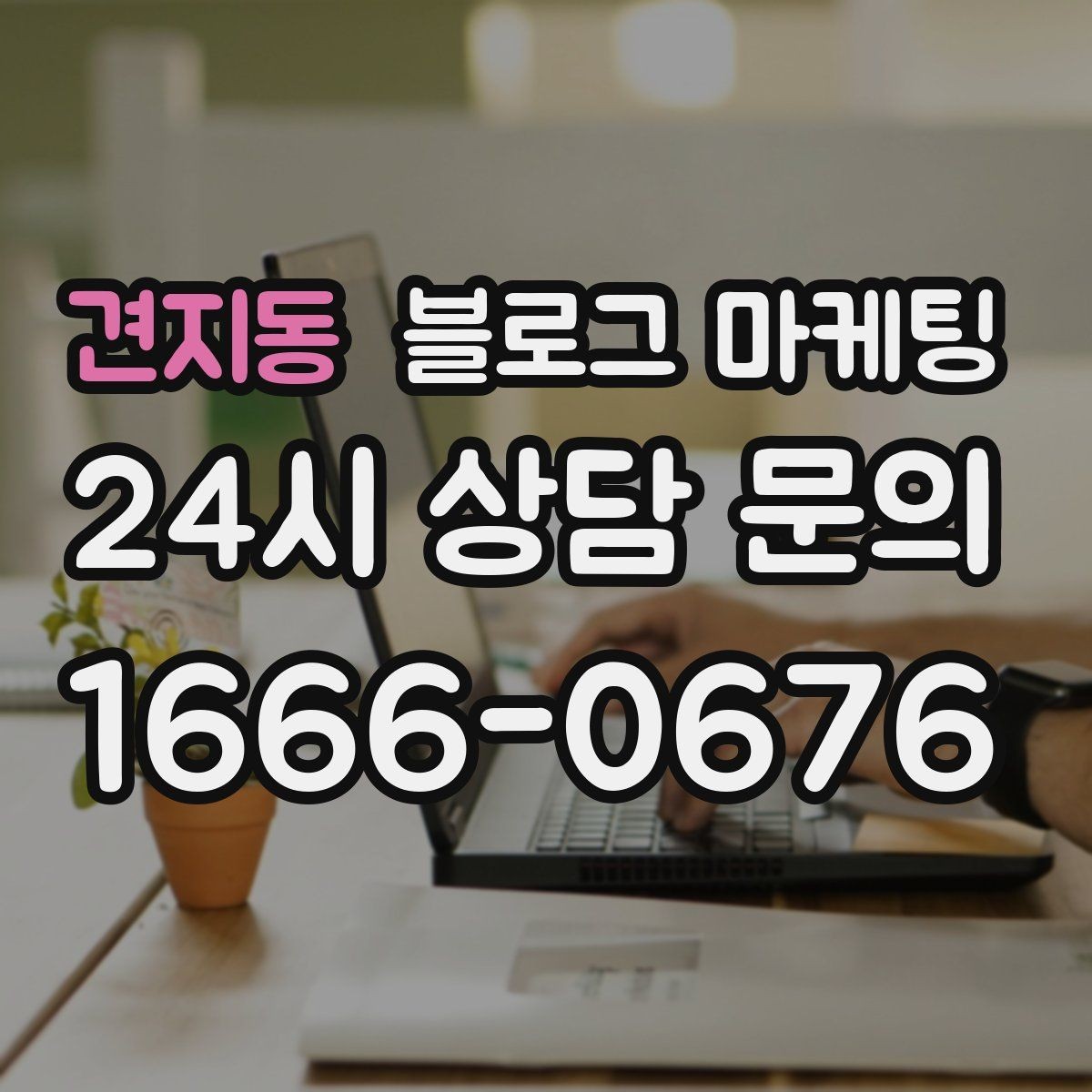 견지동 블로그 마케팅 연인과 데이트 코스에 어울리는 가게 소개