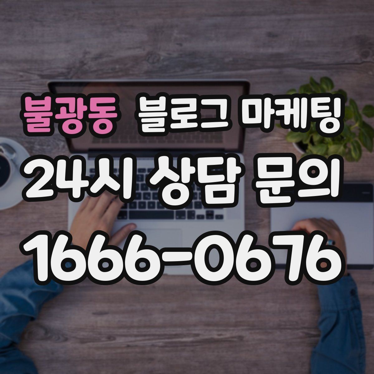 불광동 블로그 마케팅 계절에 따라 달라지는 서비스 소개 아이디어