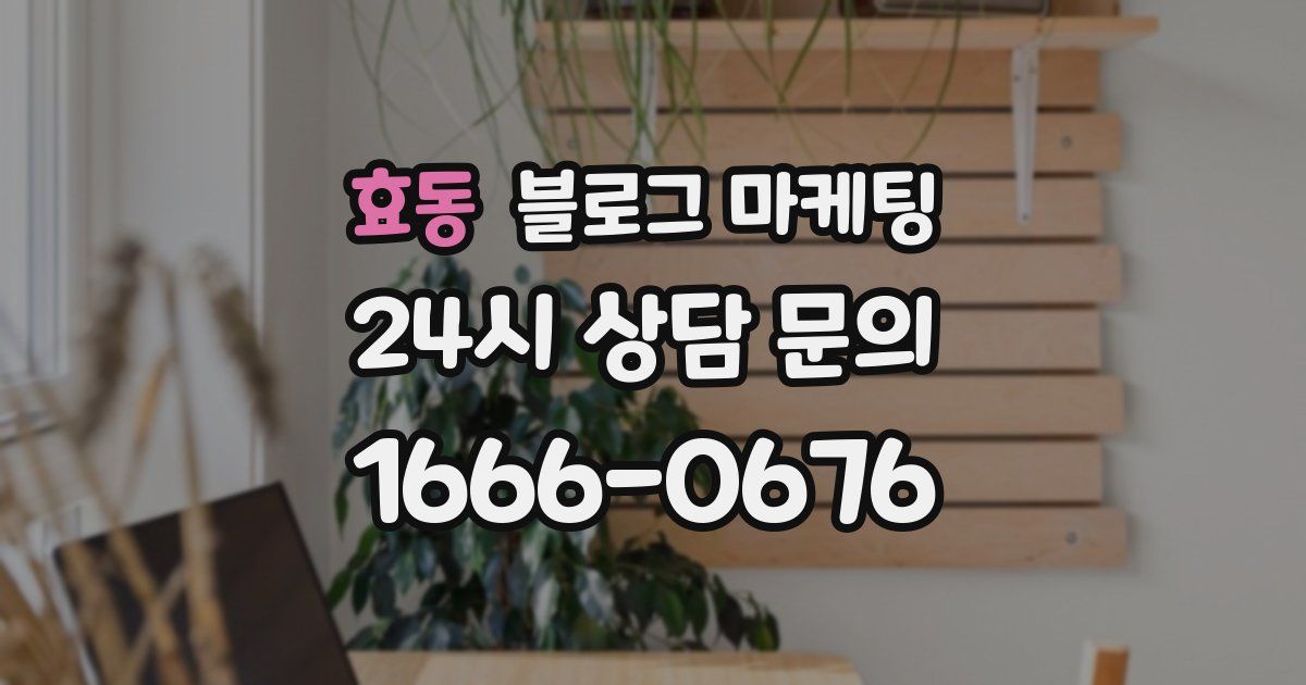 효동 블로그 마케팅