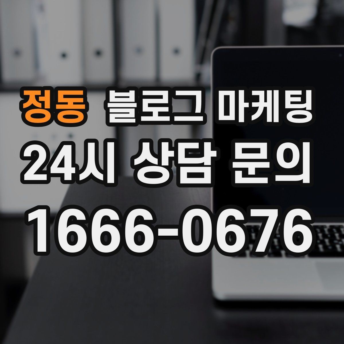 정동 블로그 마케팅 예약 가능한 요일과 시간대를 한눈에 정리하기