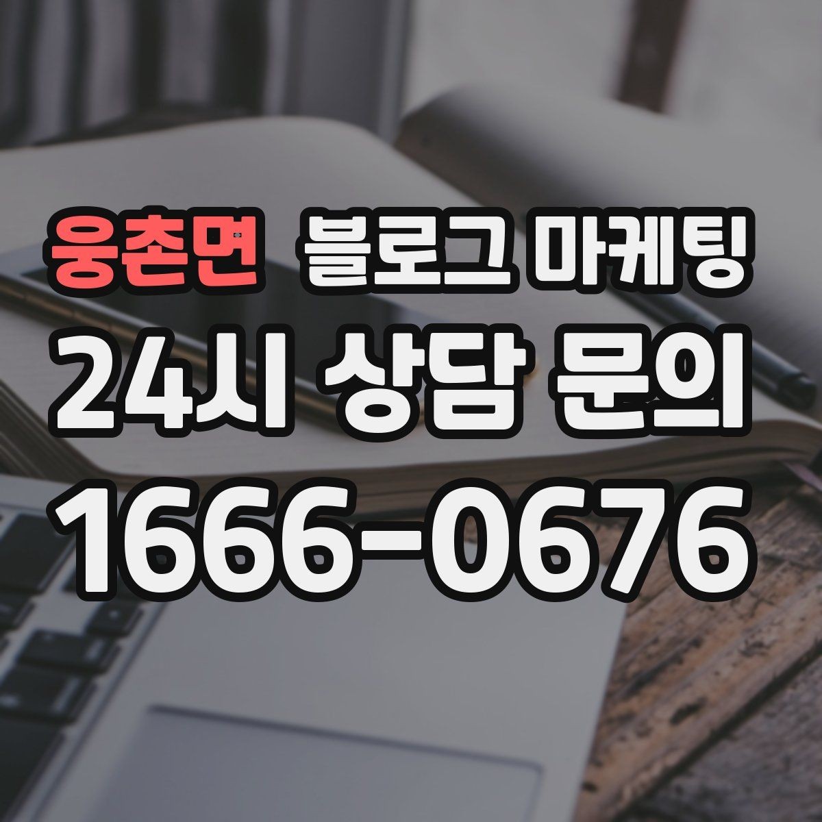 웅촌면 블로그 마케팅 리뷰 플랫폼과 역할을 나누어 활용하는 법