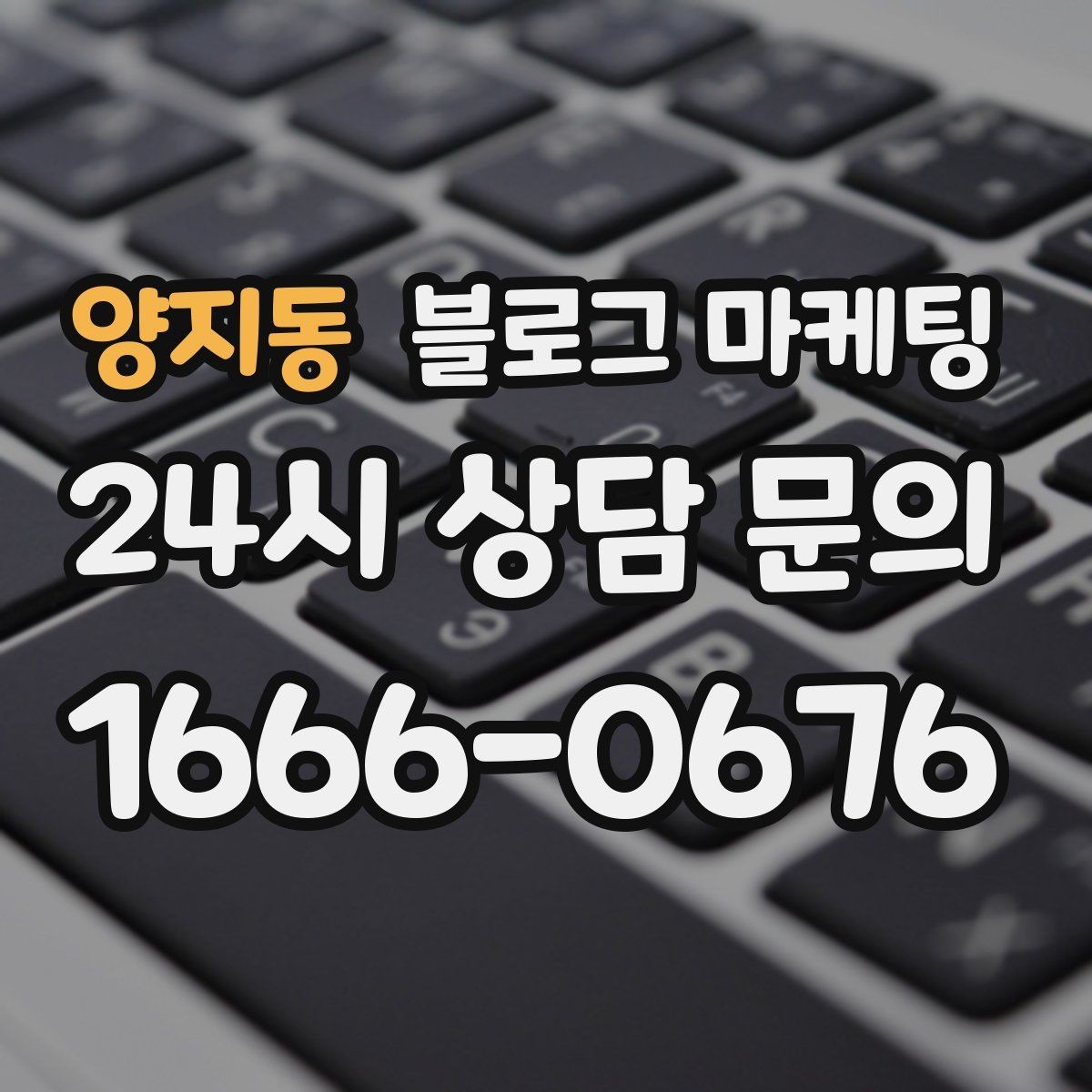 양지동 블로그 마케팅 포장 전용 메뉴를 따로 알려 주는 제목