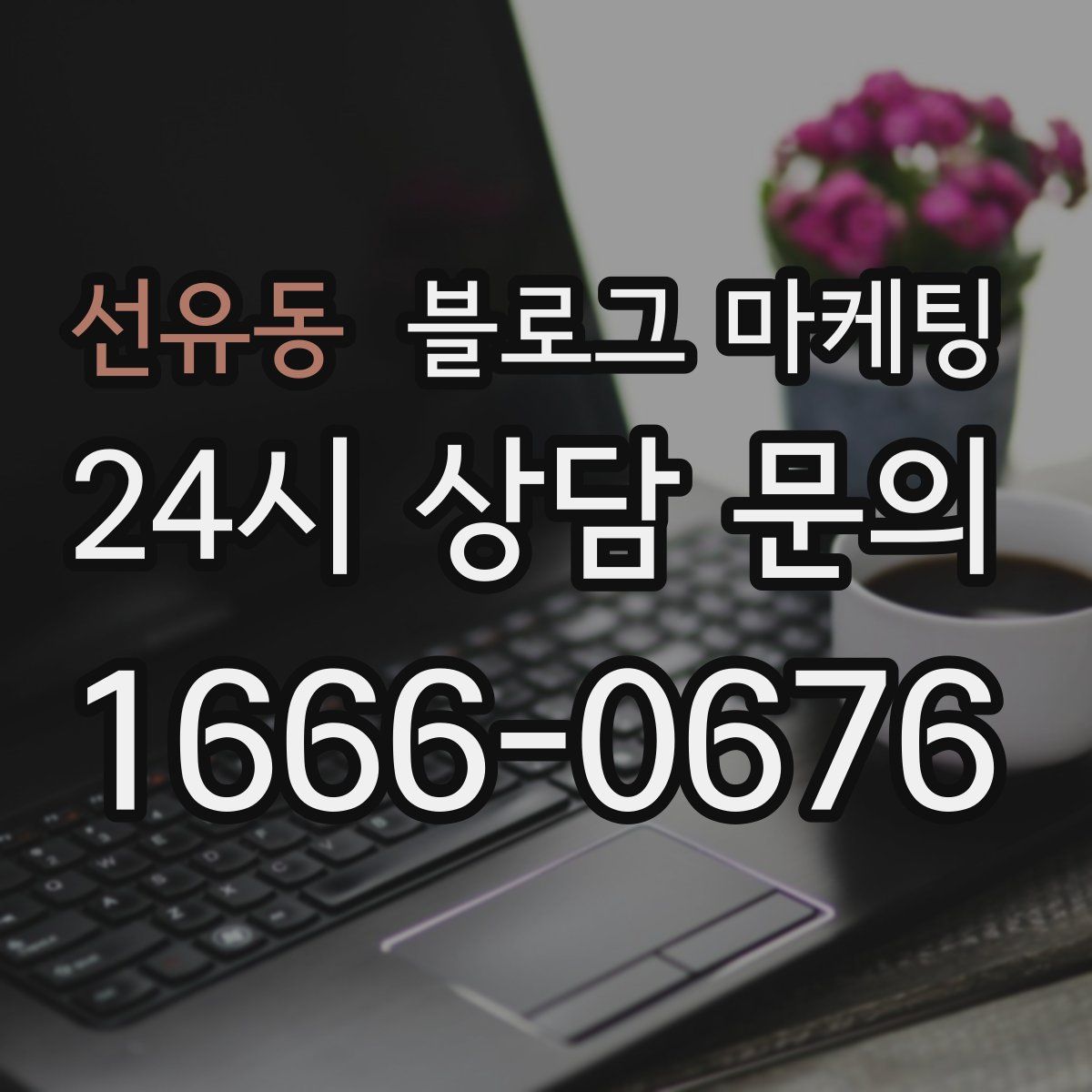 선유동 블로그 마케팅