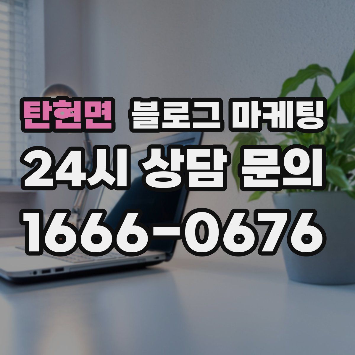 탄현면 블로그 마케팅