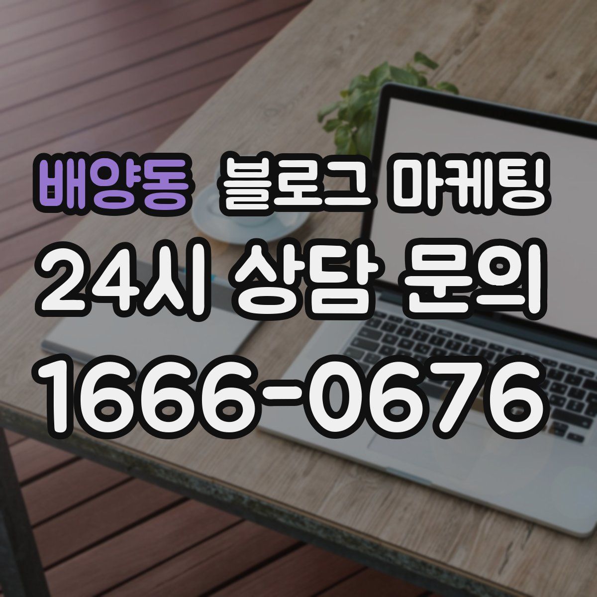 배양동 블로그 마케팅