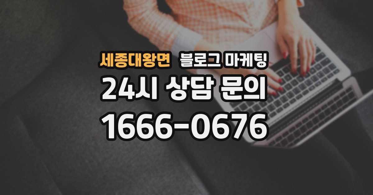 세종대왕면 블로그 마케팅
