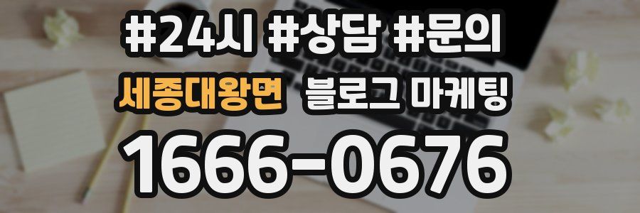 세종대왕면 브랜드 블로그