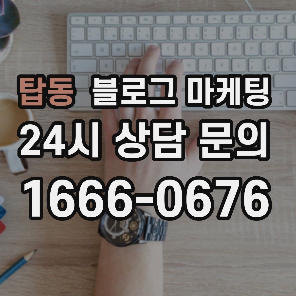탑동 블로그 마케팅 가게 분위기까지 전해지는 사진 활용 방법