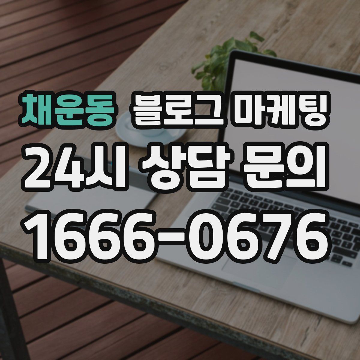 채운동 블로그 마케팅