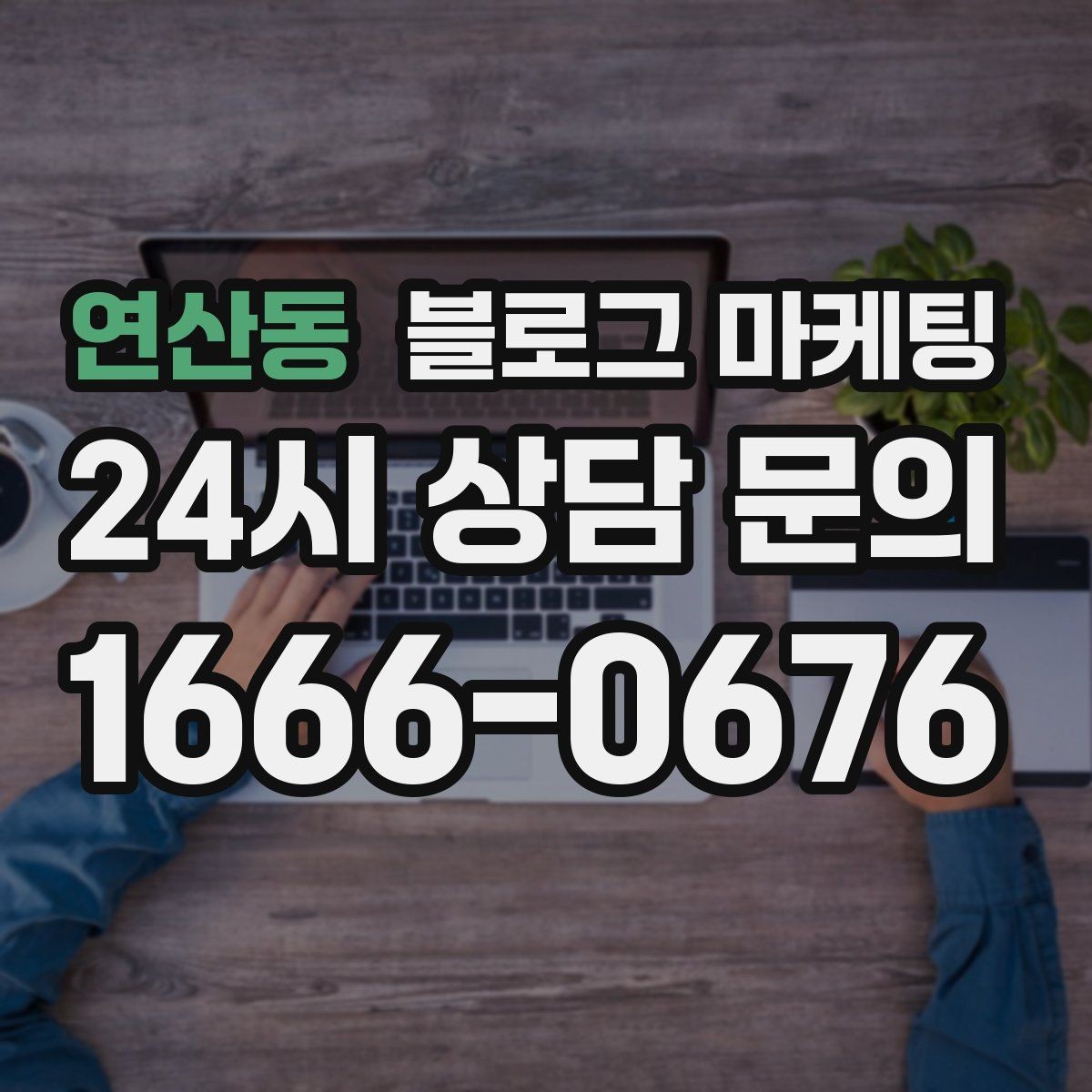 연산동 블로그 마케팅 계절 한정 메뉴와 시즌 패키지 소개 제목