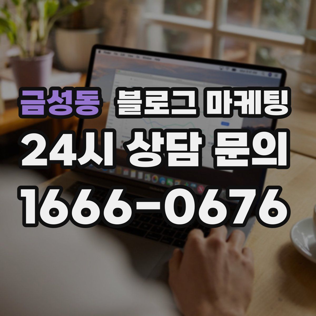 금성동 블로그 마케팅