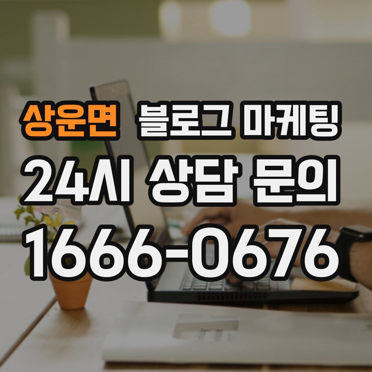 상운면 블로그 마케팅 막 오픈한 새 가게가 보여 줄 수 있는 열정과 진심