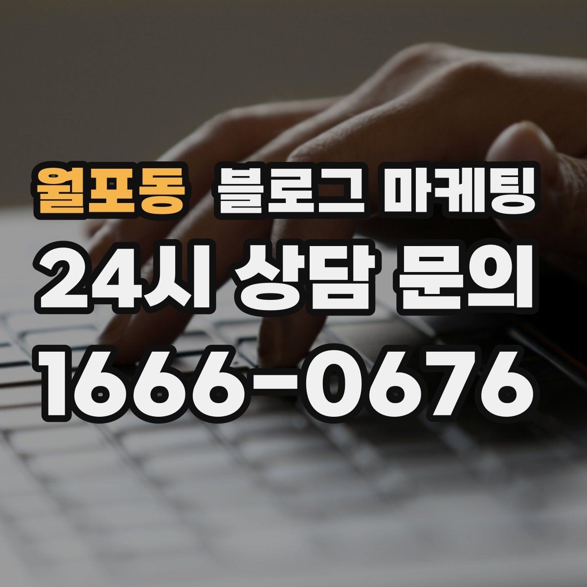 월포동 블로그 마케팅 가게 안에서 벌어지는 일상의 장면을 기록하기