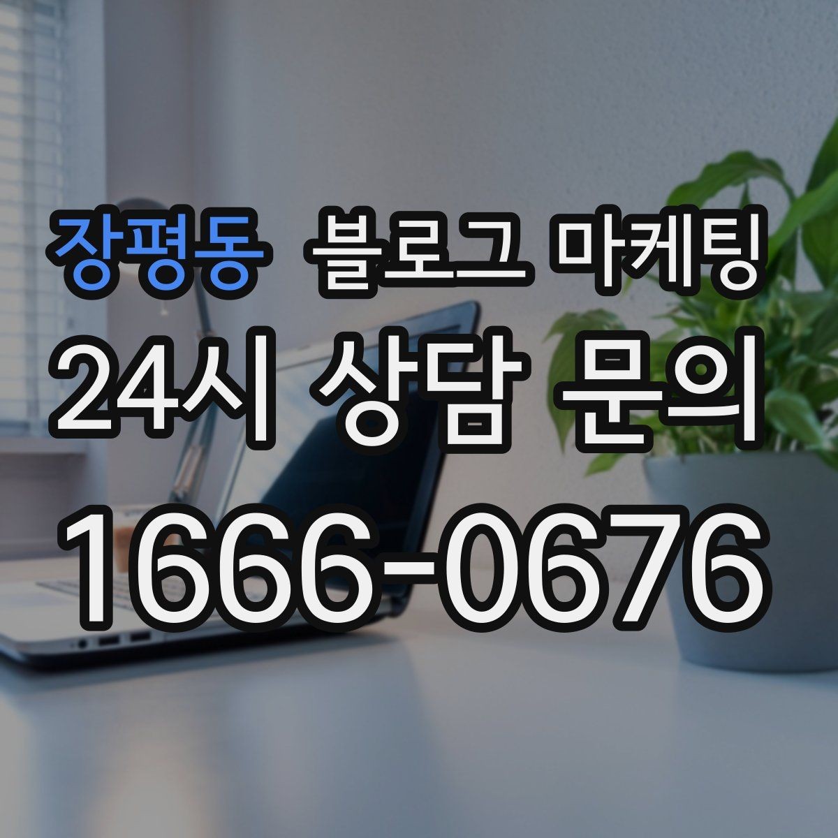 장평동 블로그 마케팅 대표글 서너 개만으로 신뢰를 만드는 구조