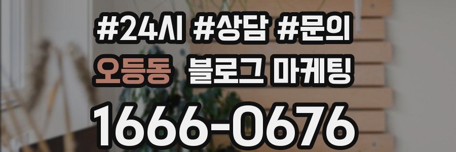 오등동 브랜드 블로그