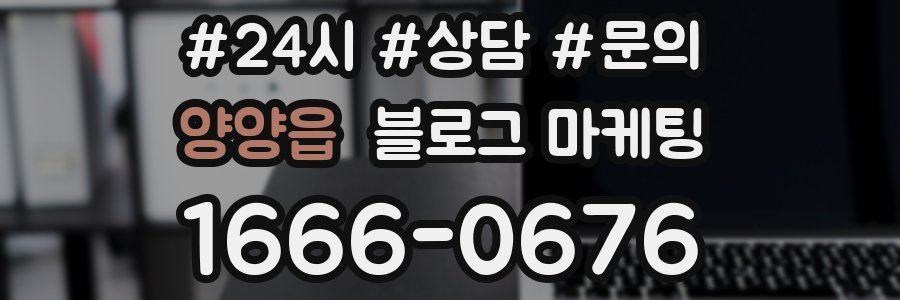 양양읍 브랜드 블로그