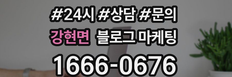 강현면 브랜드 블로그