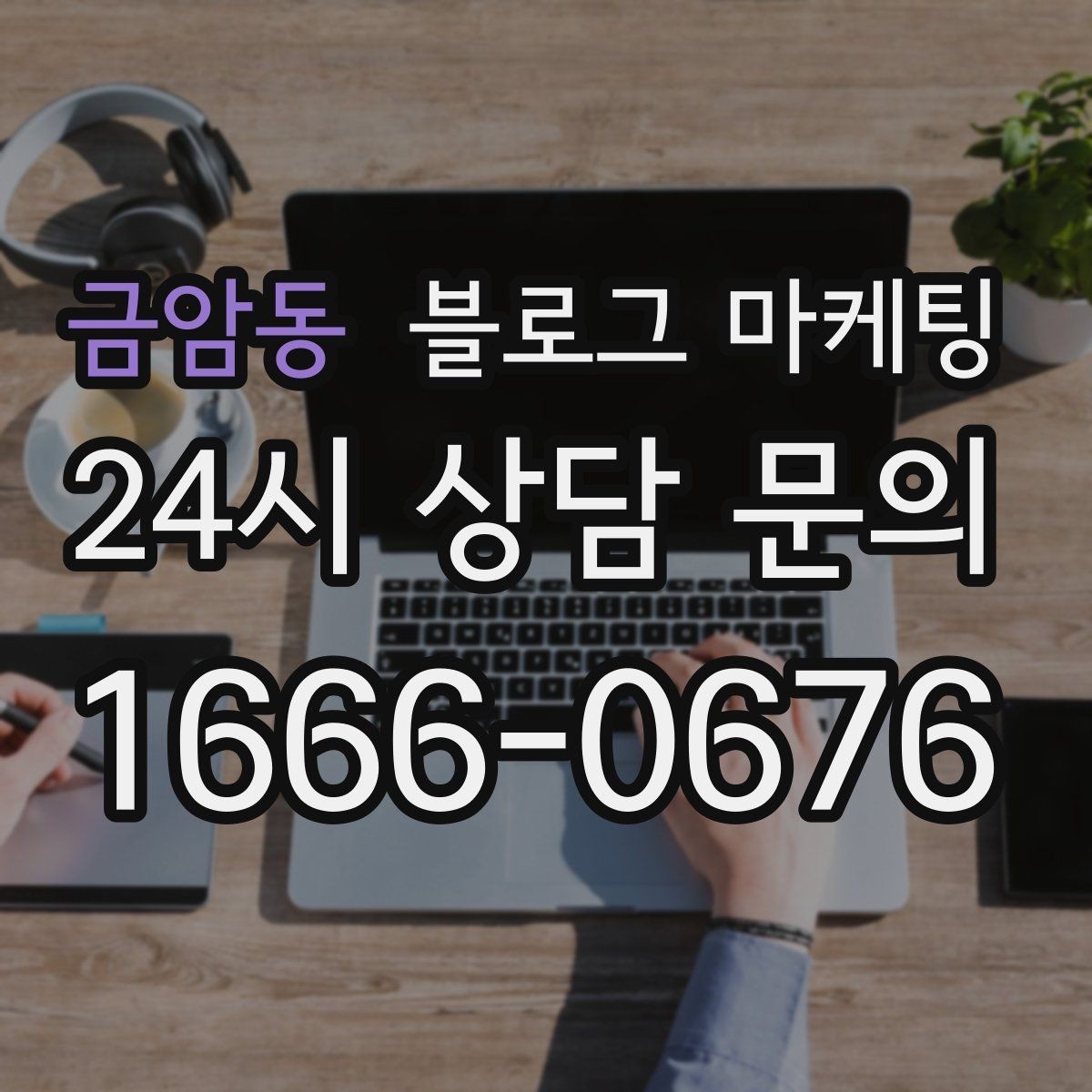 금암동 블로그 마케팅 정기 구독과 관리 프로그램을 소개하는 제목