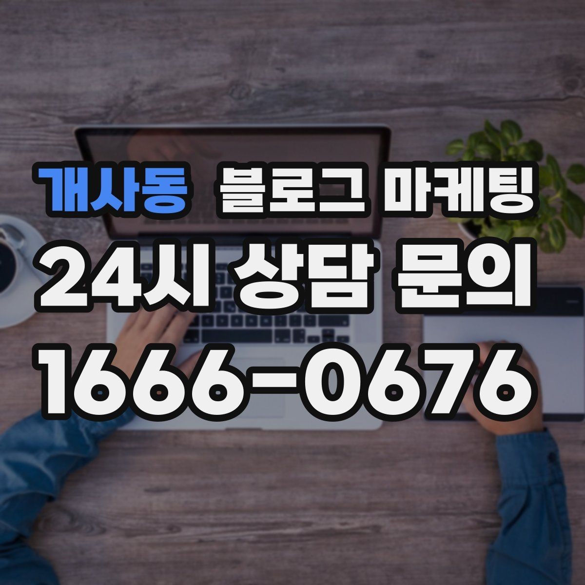 개사동 블로그 마케팅 계절에 따라 달라지는 서비스 소개 아이디어