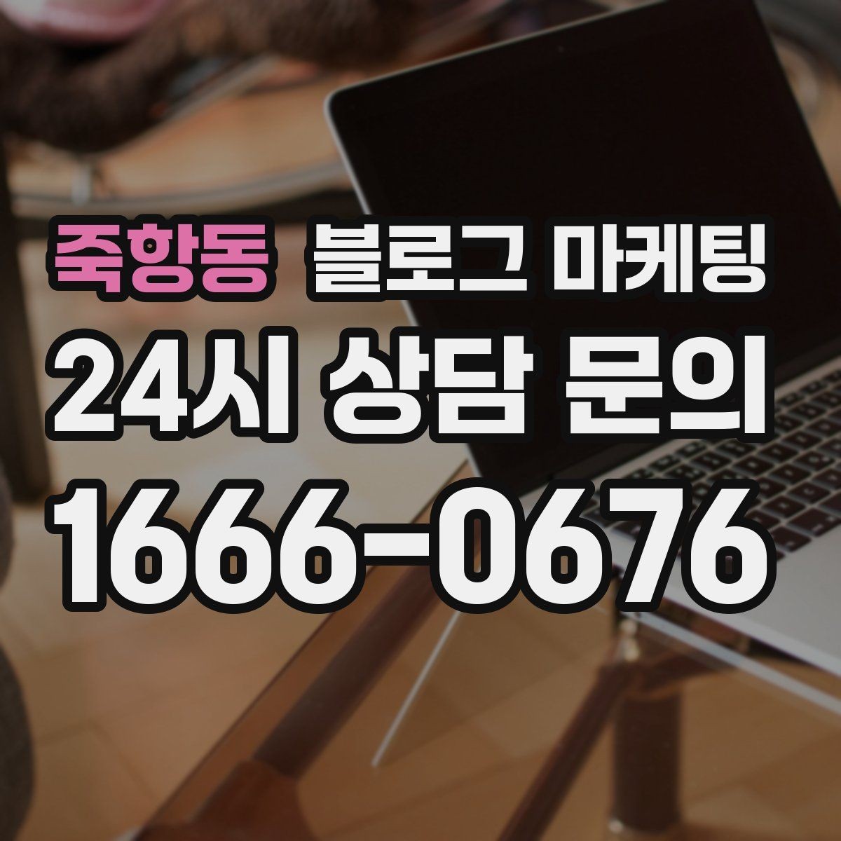 죽항동 블로그 마케팅 전문 장비와 기술력을 자연스럽게 보여 주기
