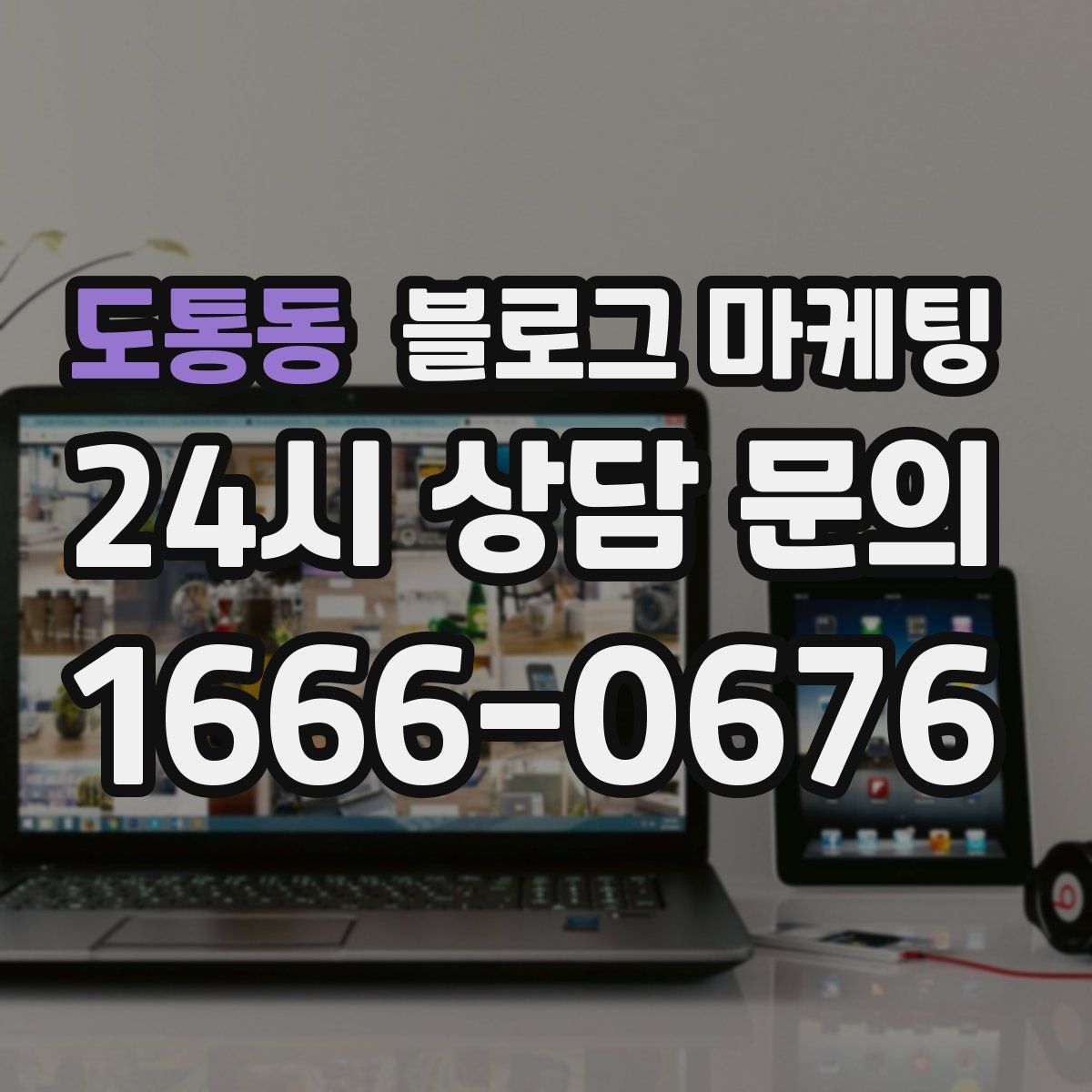 도통동 블로그 마케팅