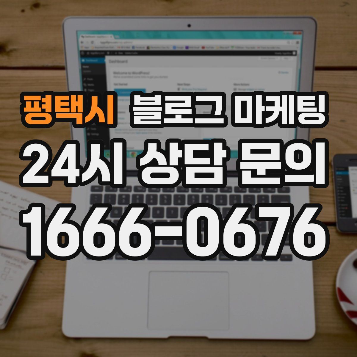 평택시 블로그 마케팅