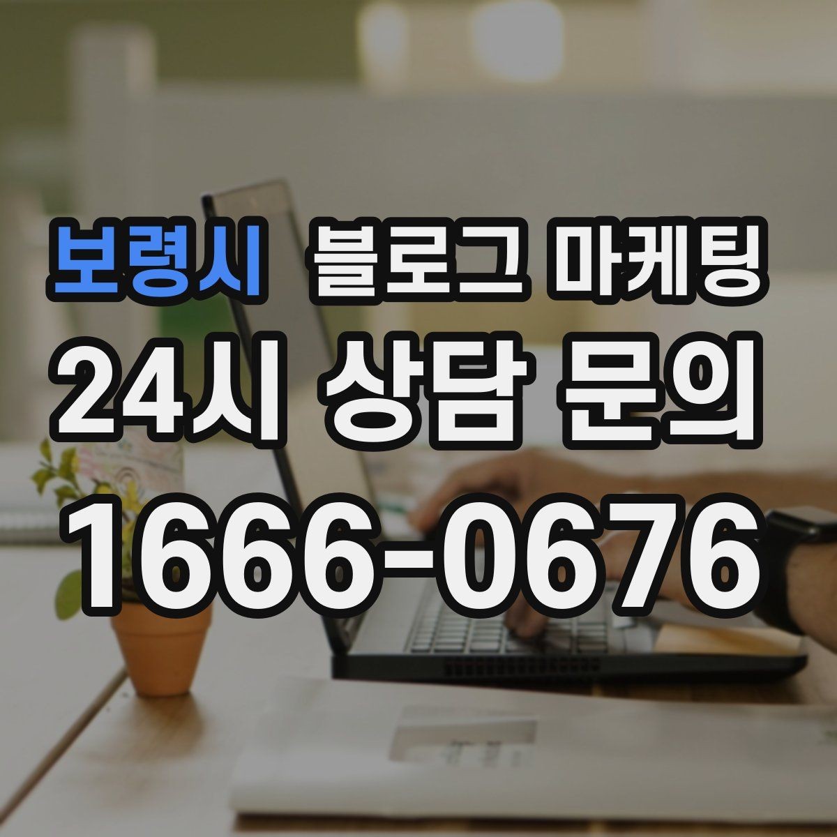 보령시 블로그 마케팅 여러 서비스 패키지를 한눈에 정리하는 구성