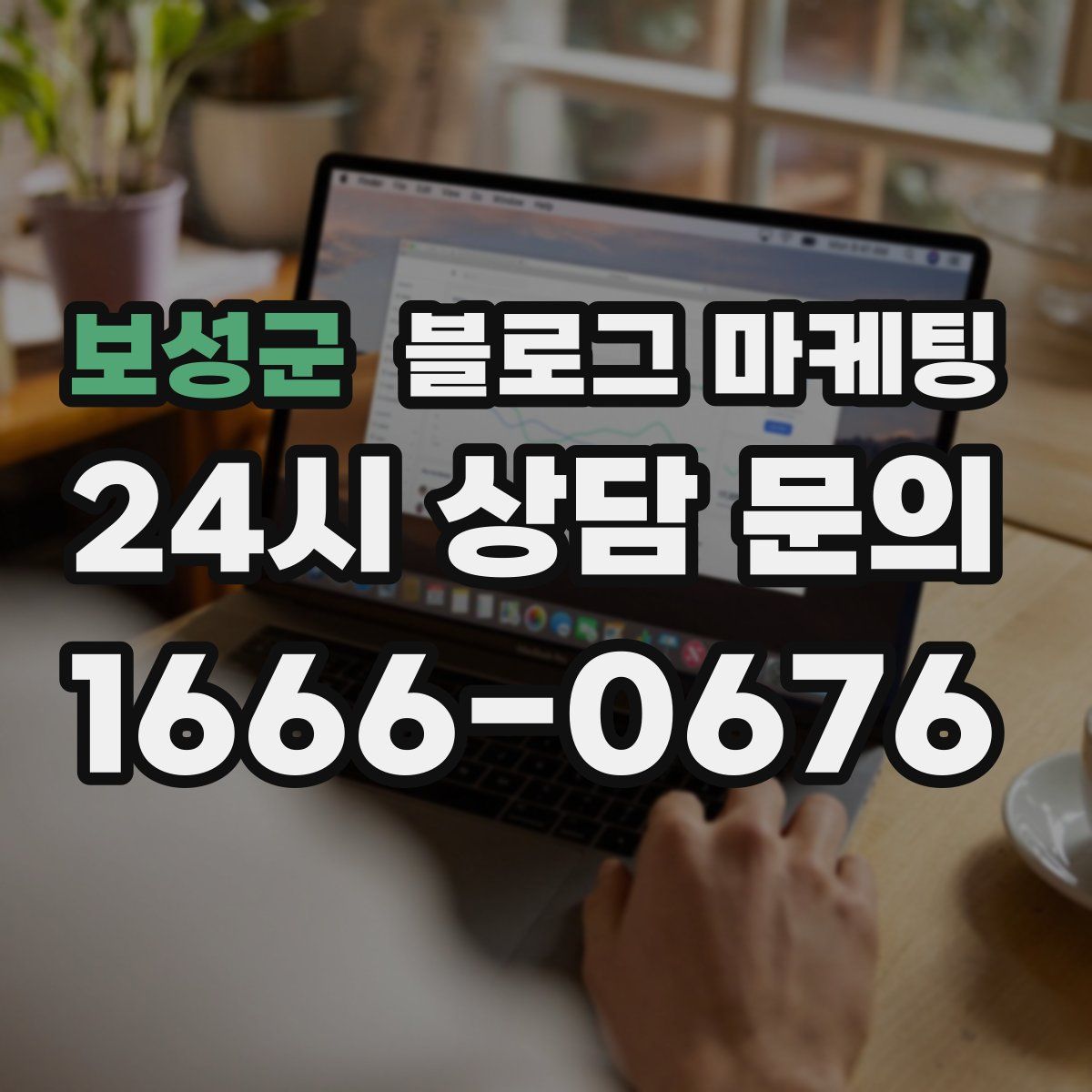보성군 블로그 마케팅