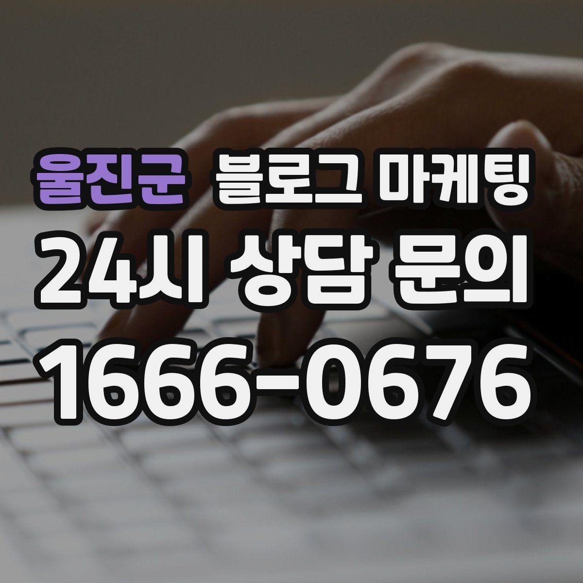 울진군 블로그 마케팅 회사 근처 직장인 점심 수요를 모으는 포스팅