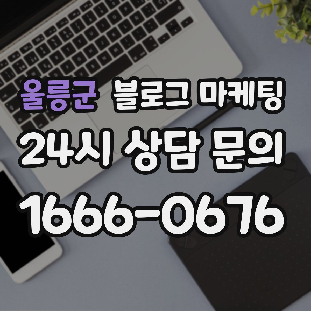 울릉군 블로그 마케팅