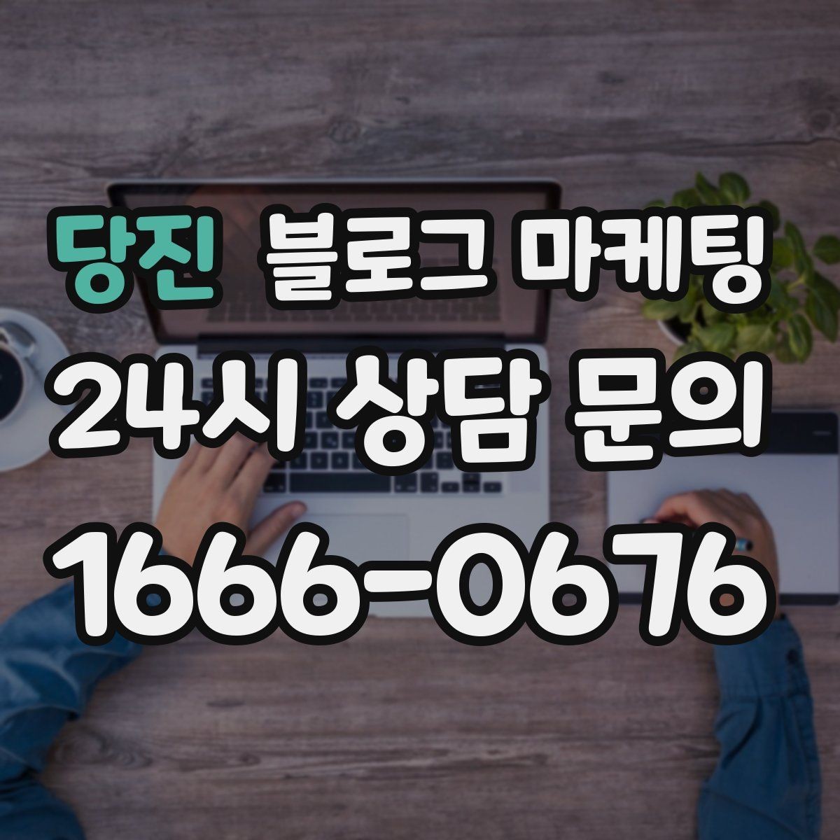 당진 블로그 마케팅 계절에 따라 달라지는 서비스 소개 아이디어