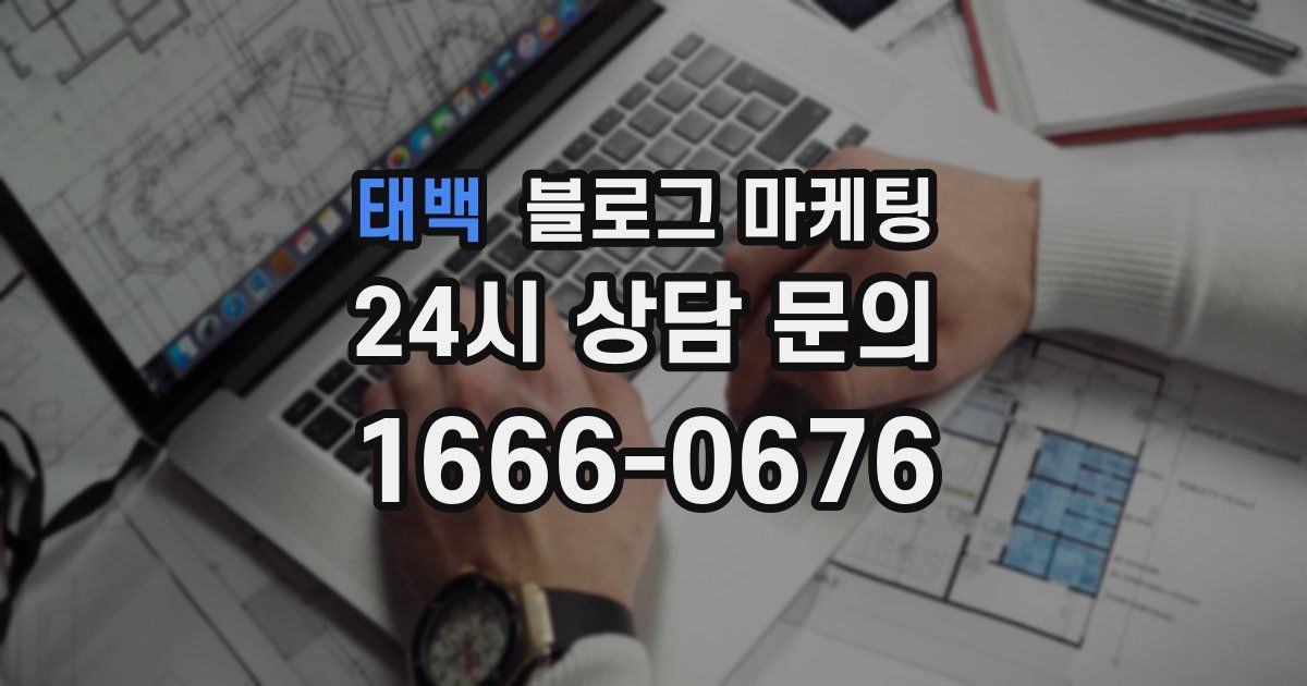 태백 블로그 마케팅