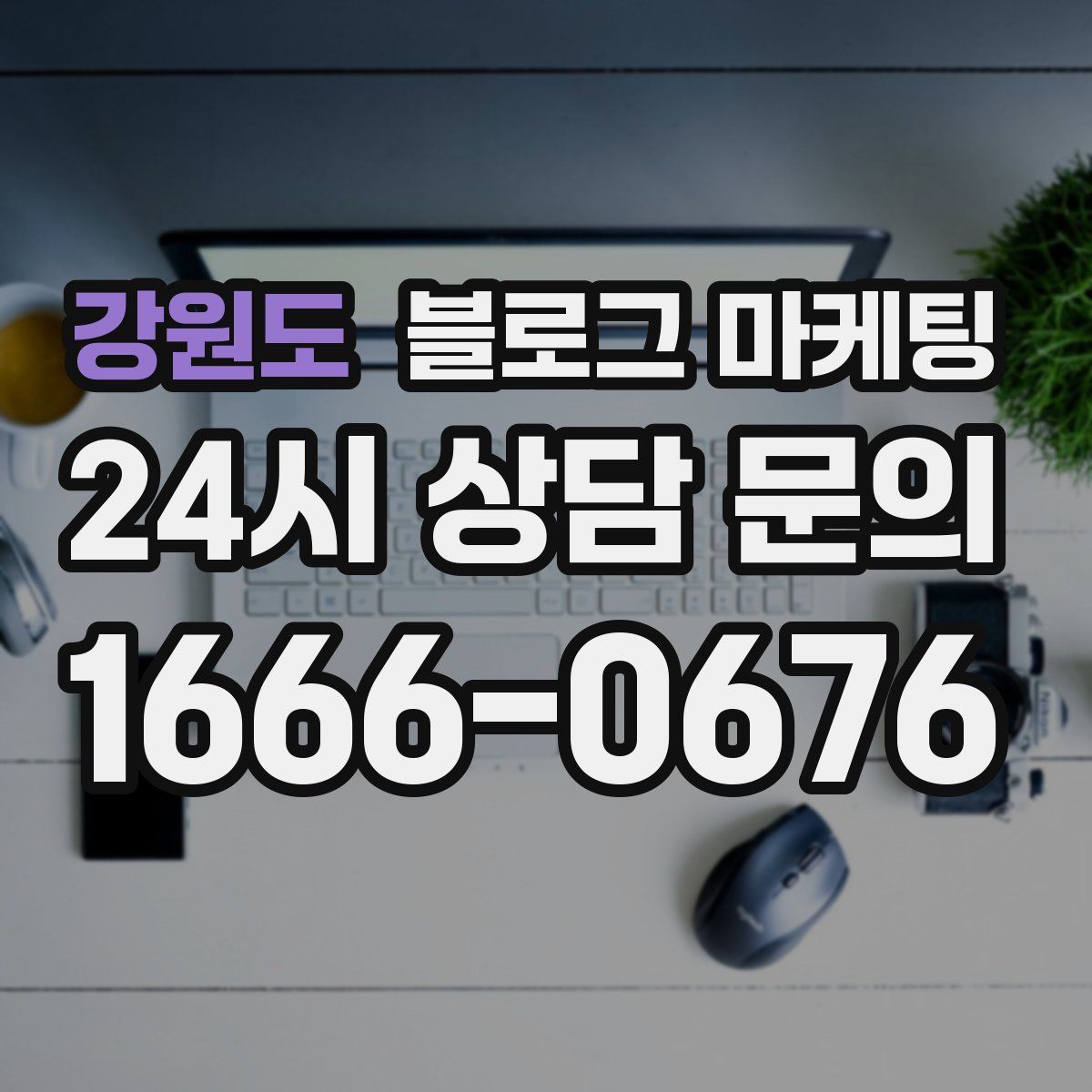 강원도 블로그 마케팅