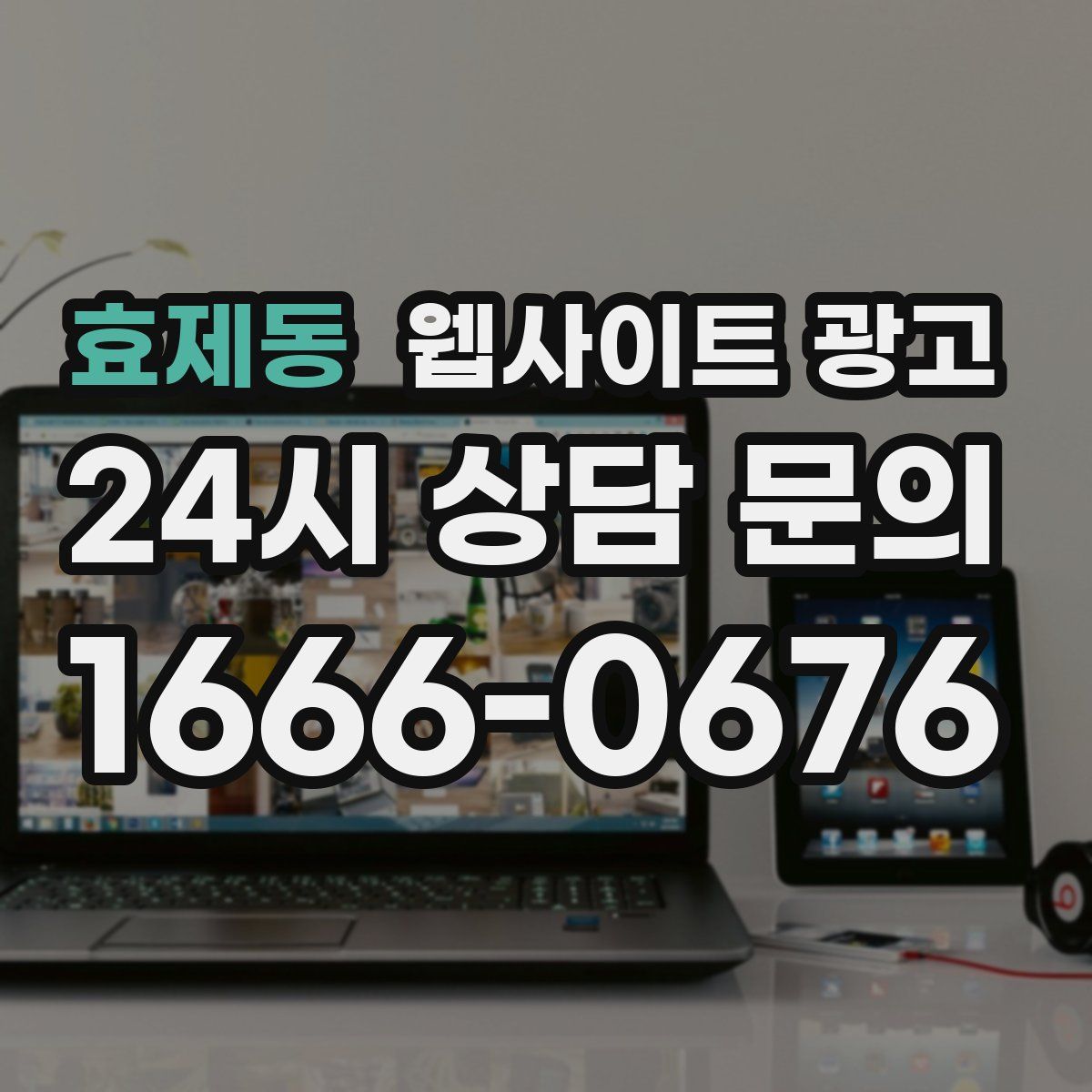 효제동 웹사이트 광고