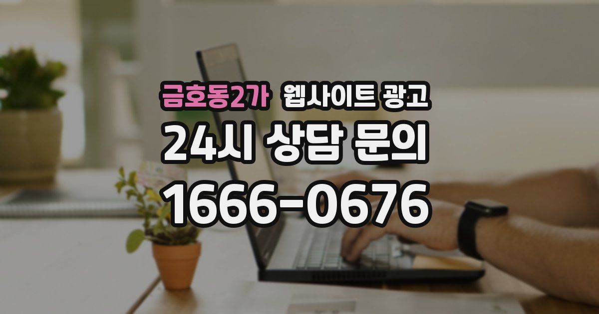 금호동2가 웹사이트 광고