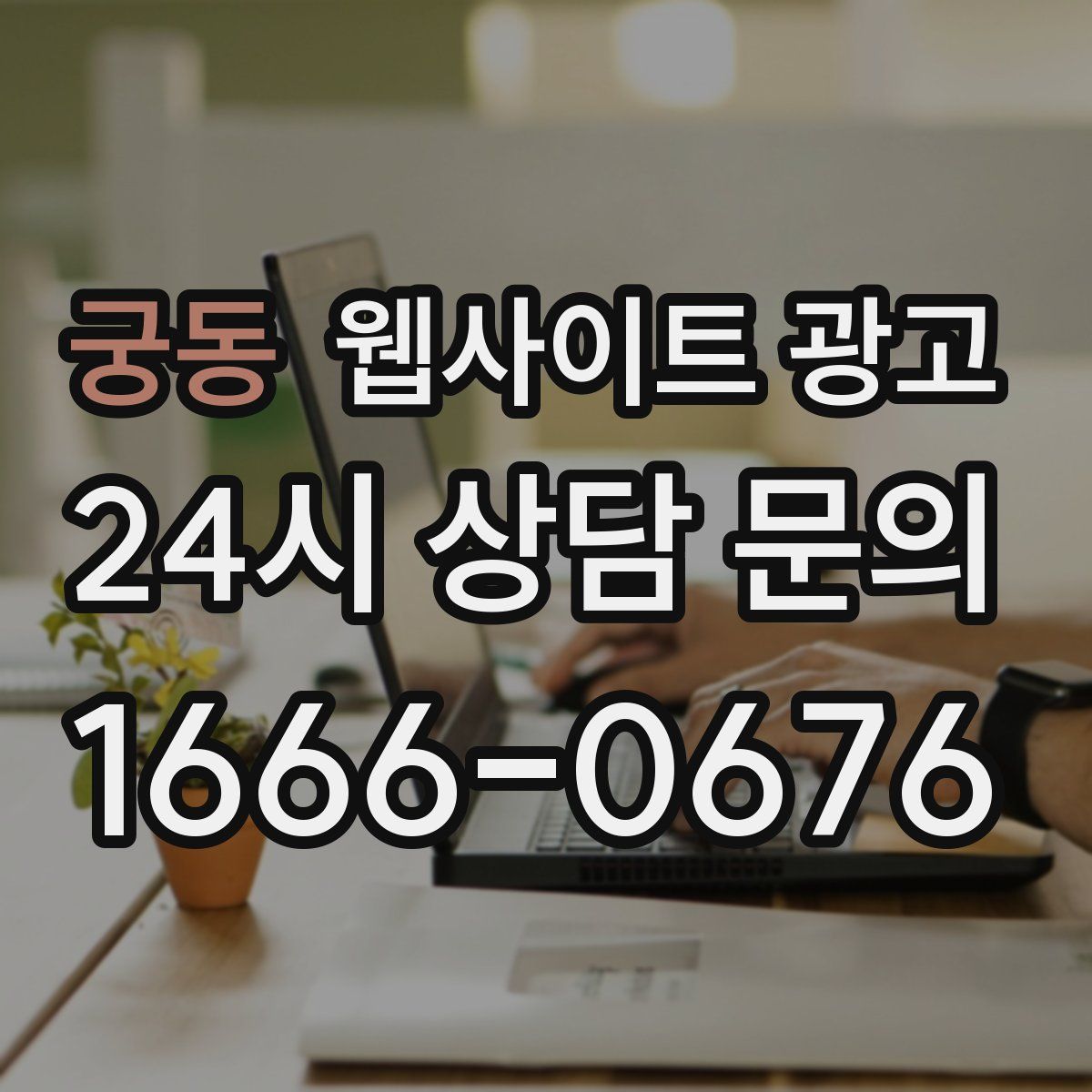 궁동 웹사이트 광고