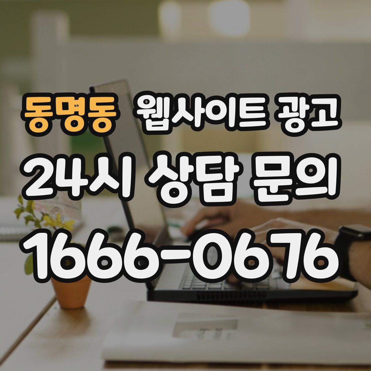동명동 웹사이트 광고