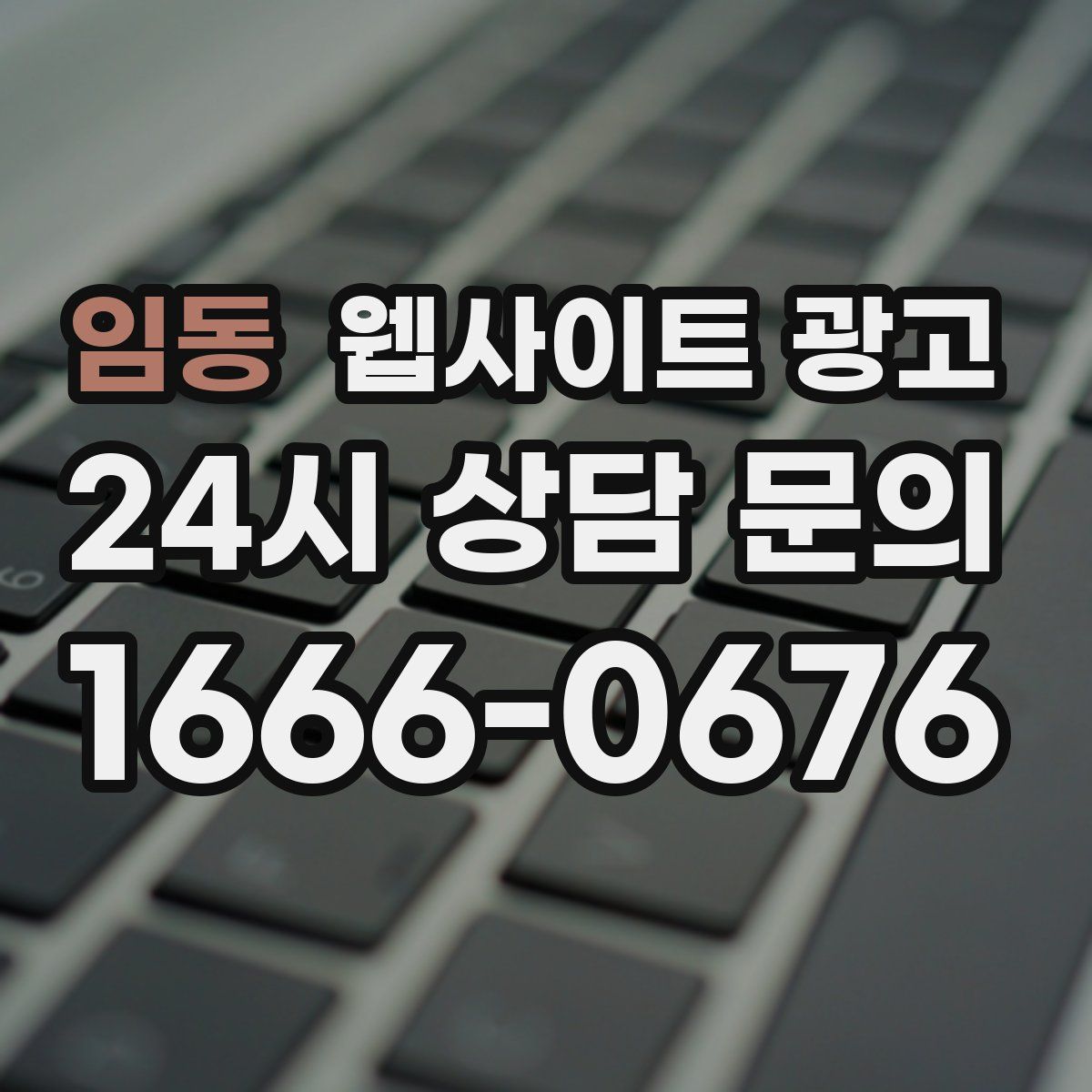 임동 웹사이트 광고