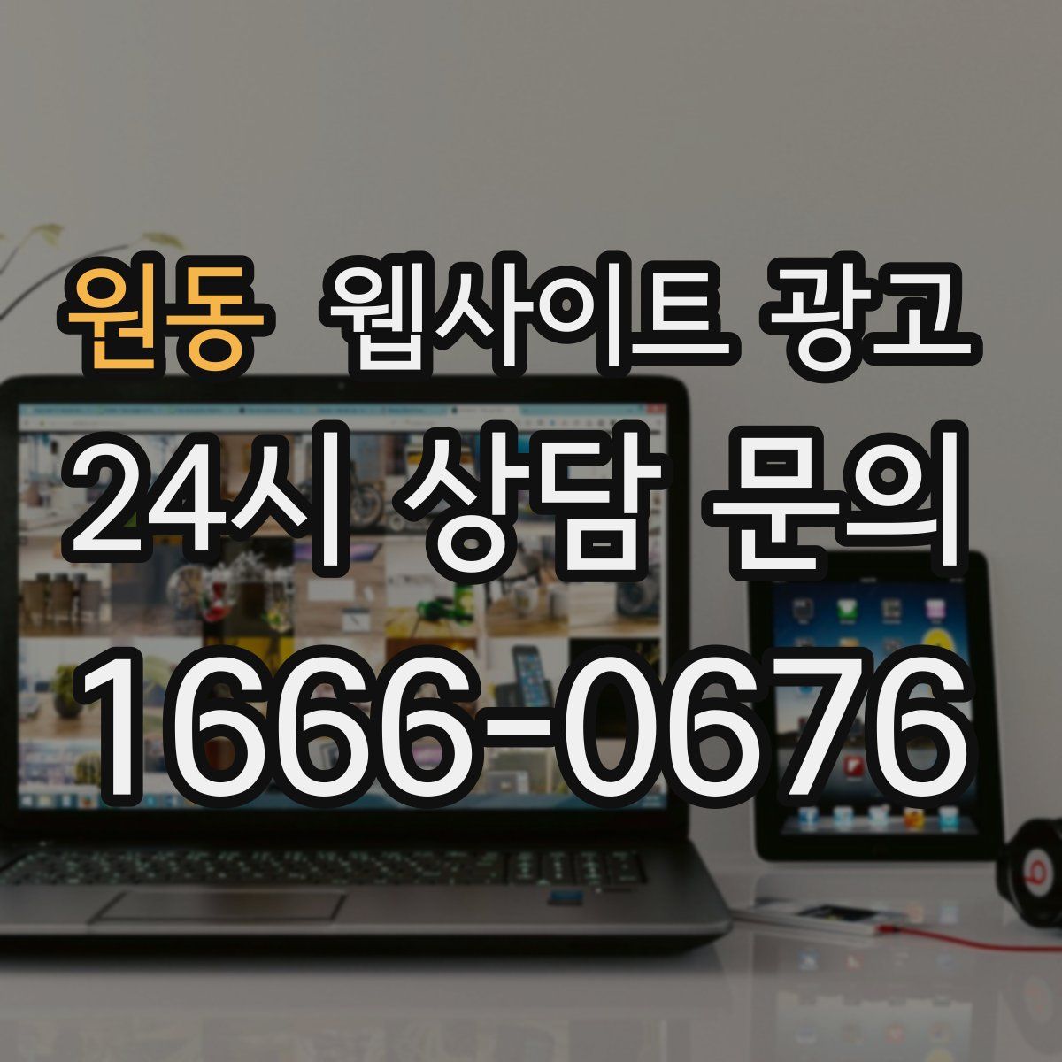 원동 웹사이트 광고