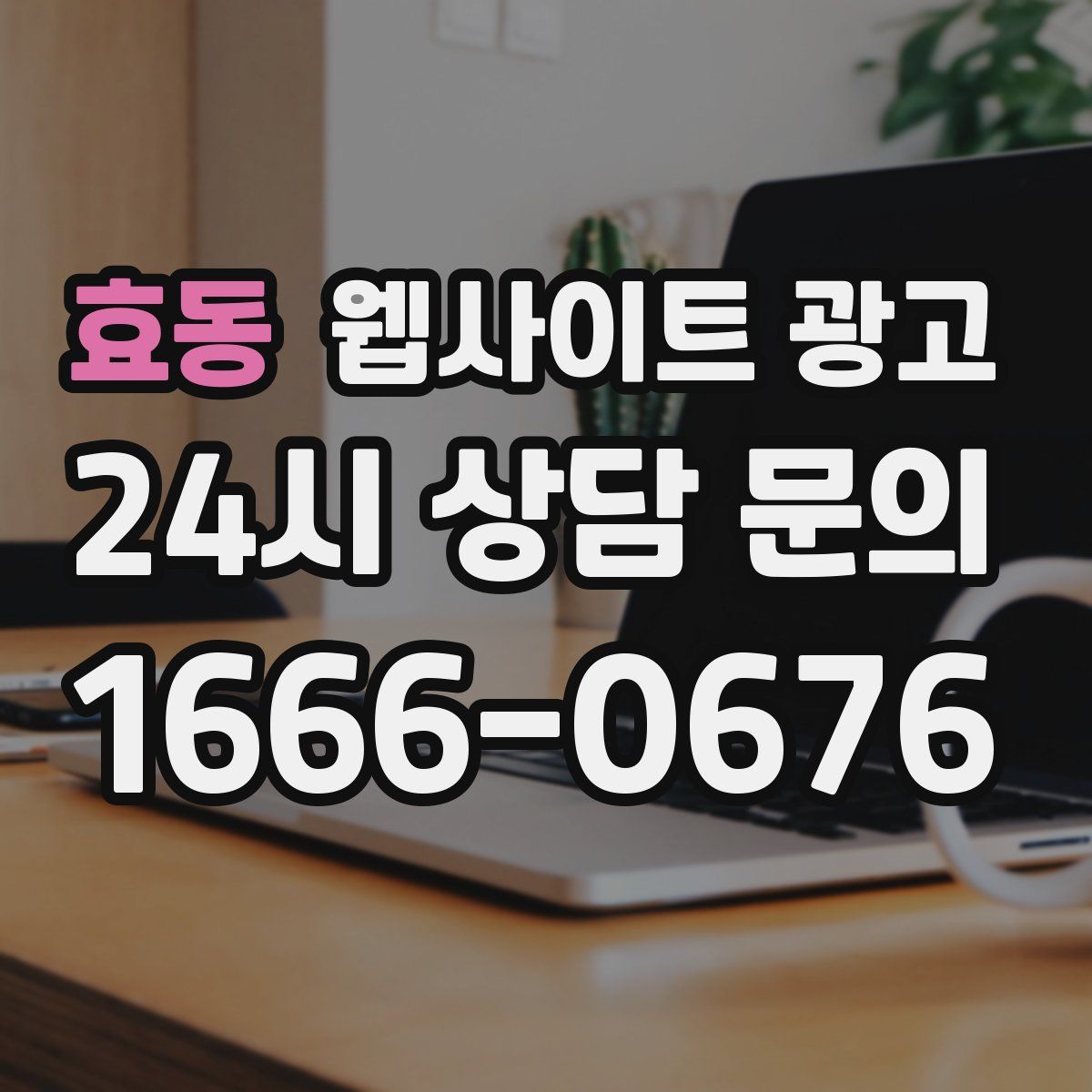 효동 웹사이트 광고