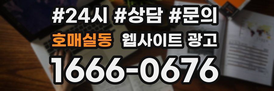 호매실동 웹사이트 광고