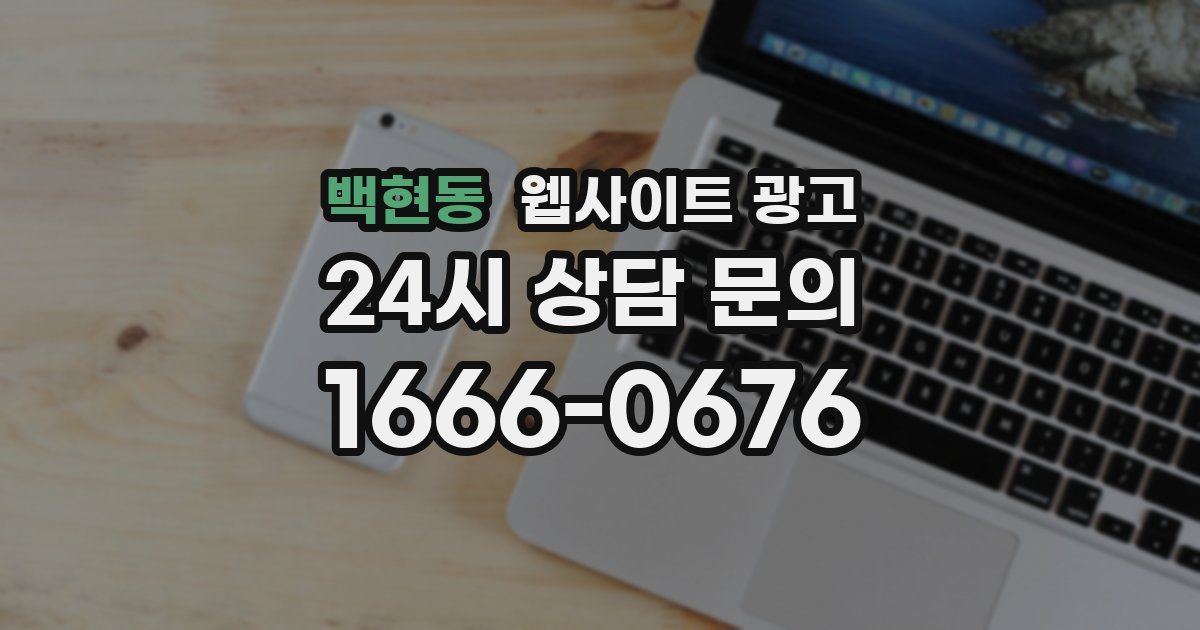 백현동 웹사이트 광고