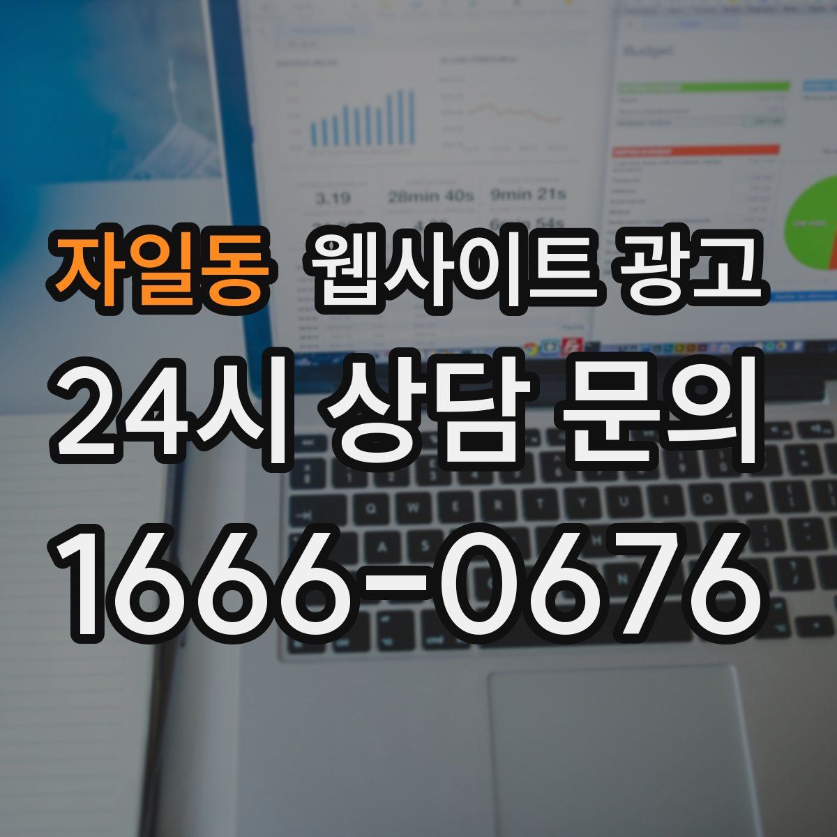자일동 웹사이트 광고