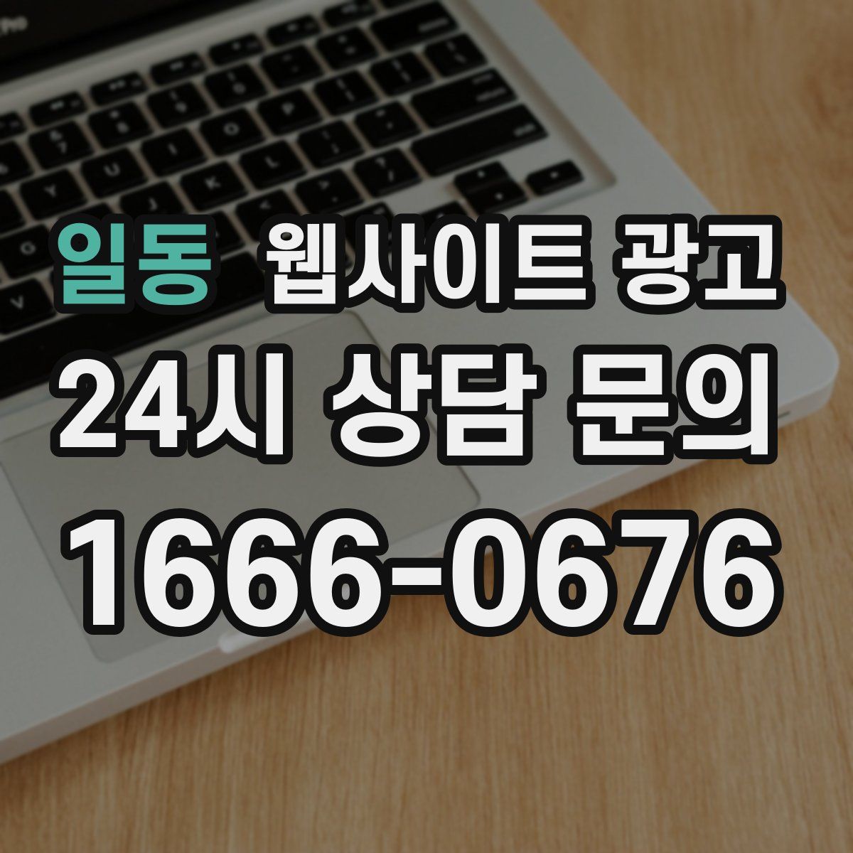 일동 웹사이트 광고