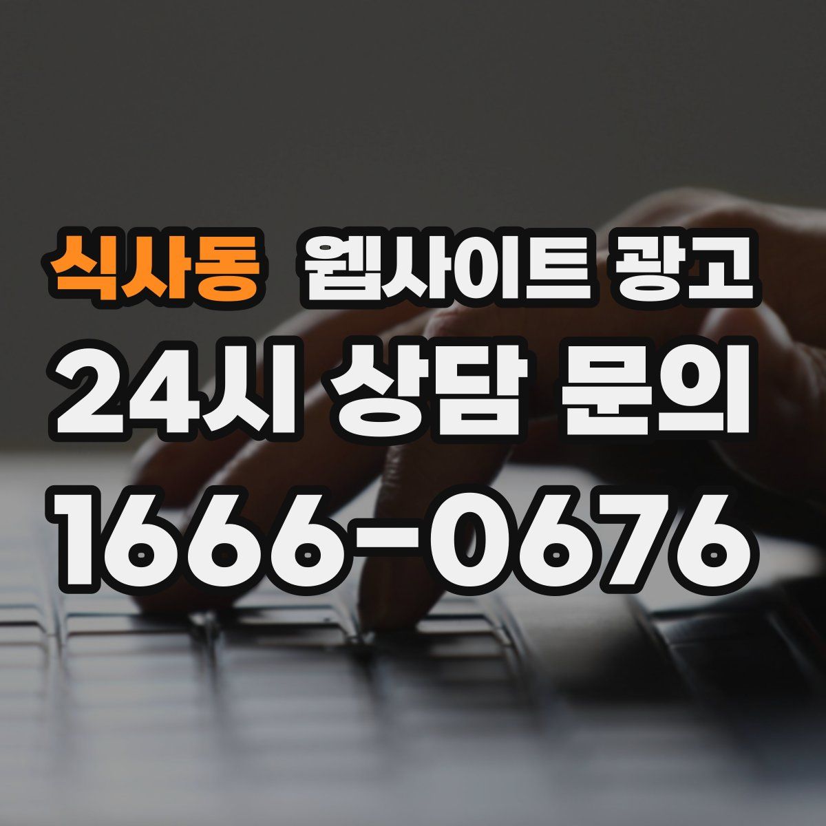 식사동 웹사이트 광고