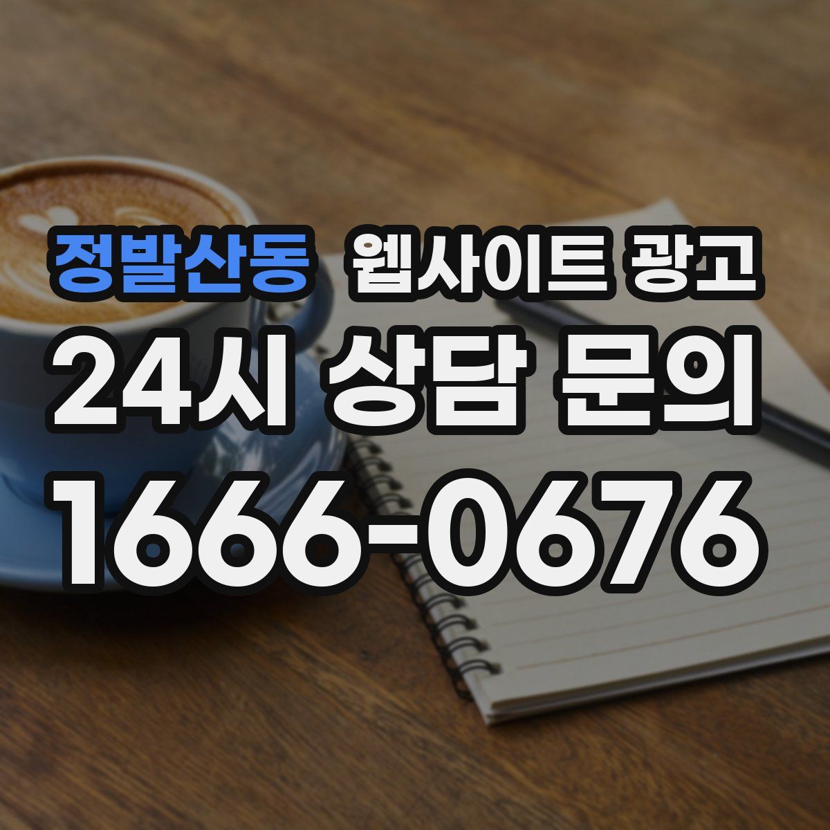 정발산동 웹사이트 광고