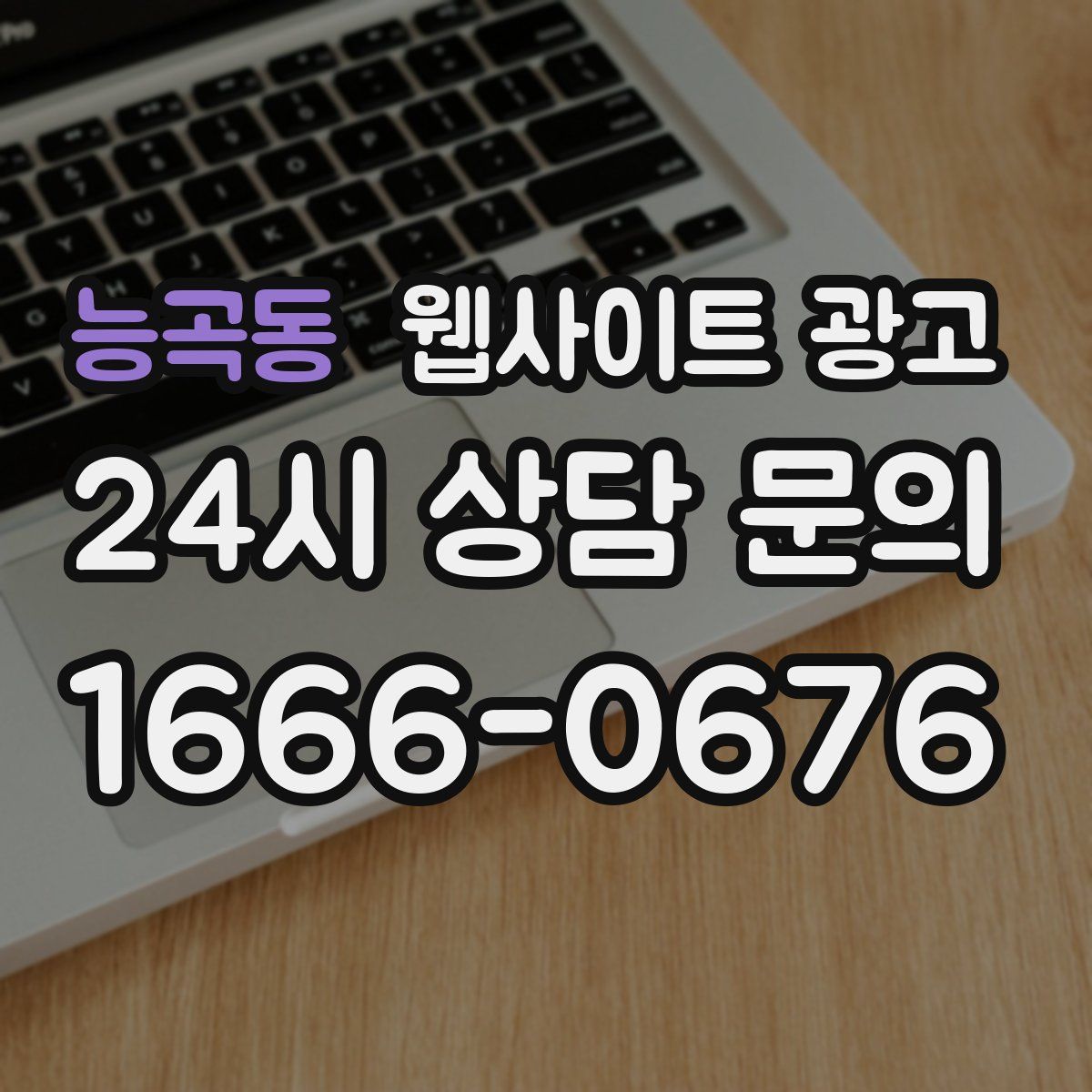능곡동 웹사이트 광고