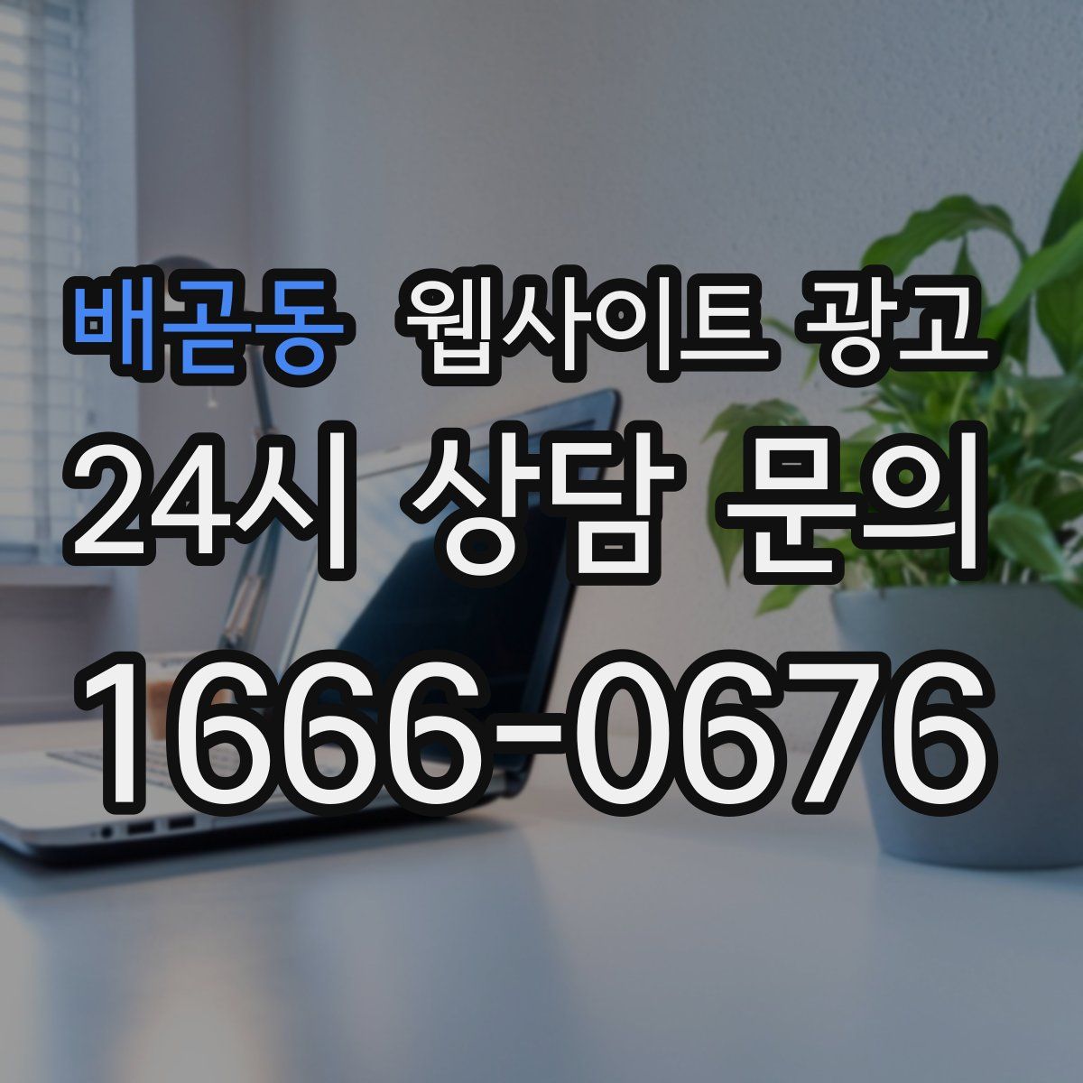 배곧동 웹사이트 광고